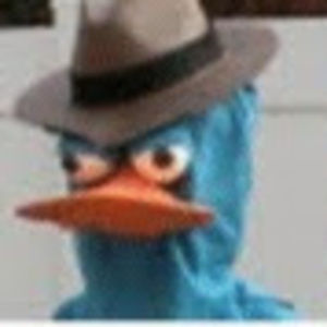 Meet your Posher, Tia